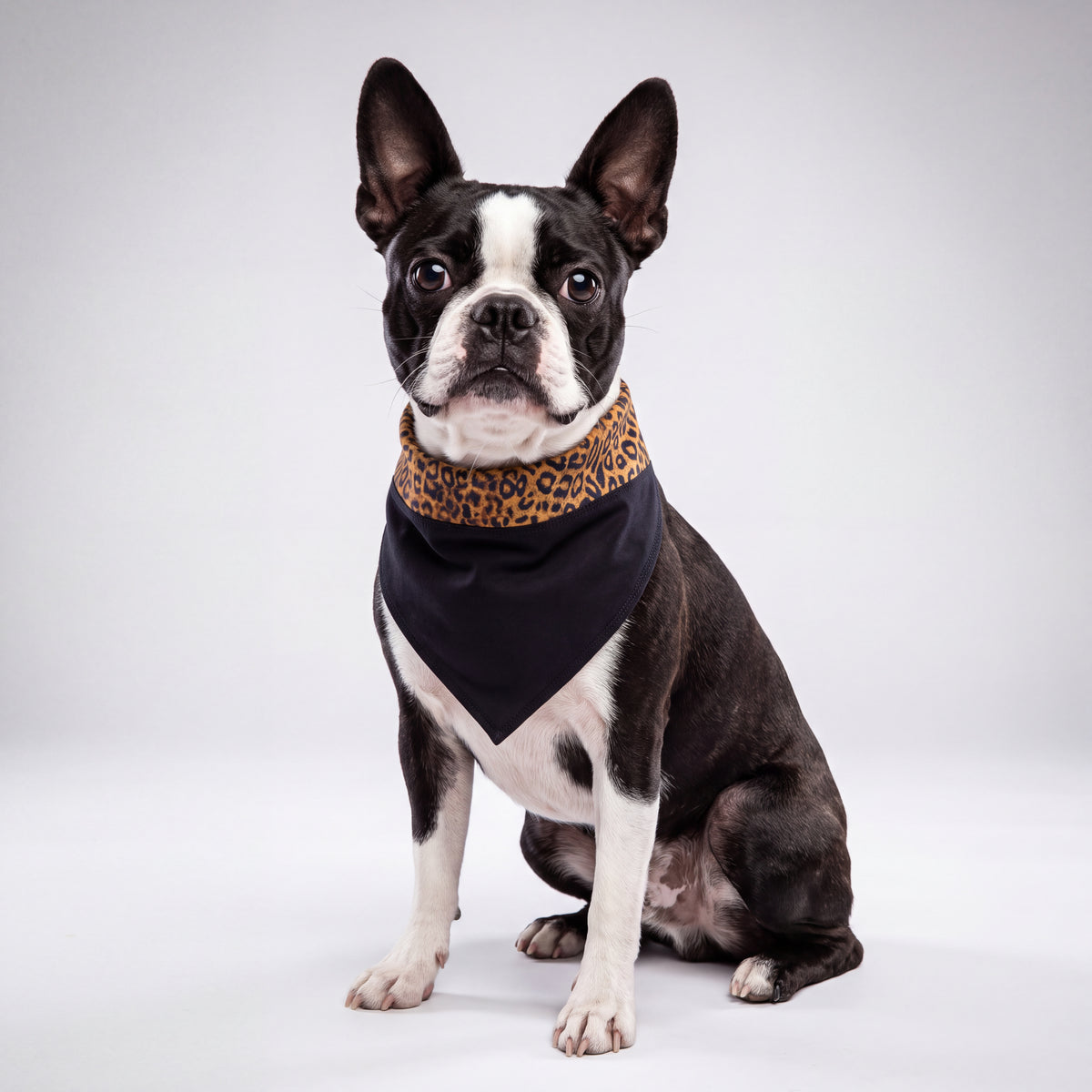 Black Leopard Print Personalized Dog Bandana by PetGlamr