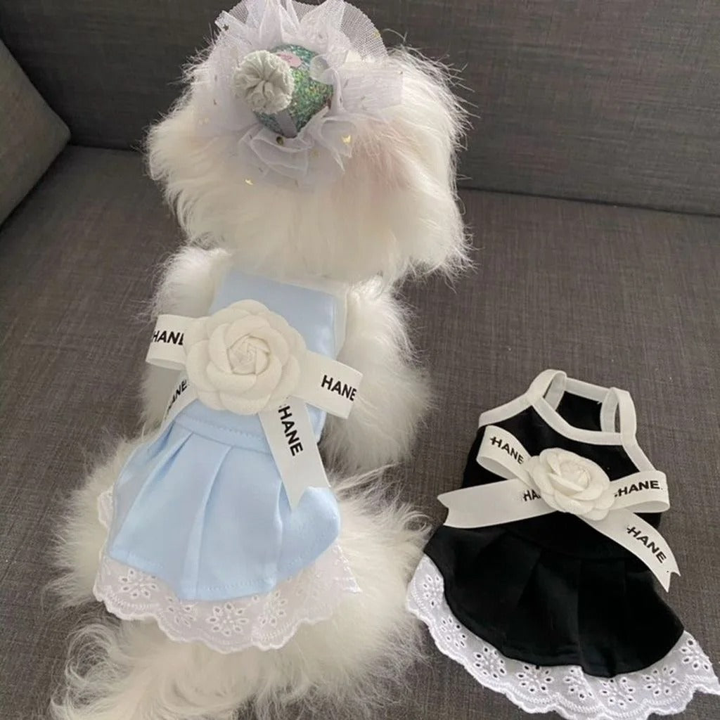 Flowy Party Dog Dress, view 5