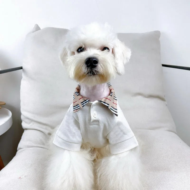 Plaid Collar Dog Polo Shirt, view 2