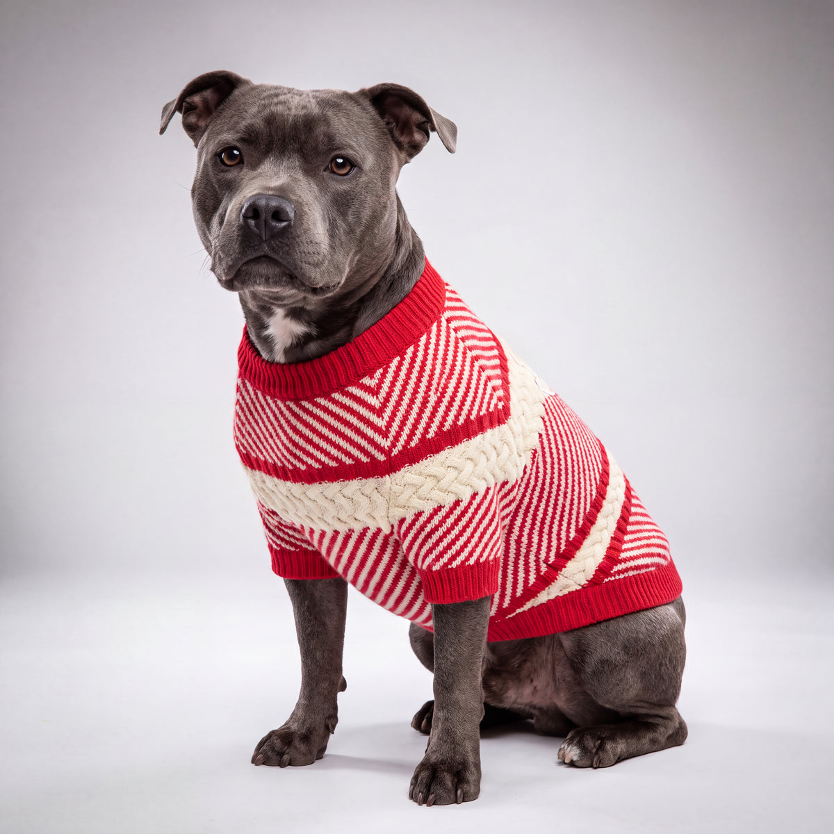 Red Herringbone Cable Knit Dog Sweater by PetGlamr