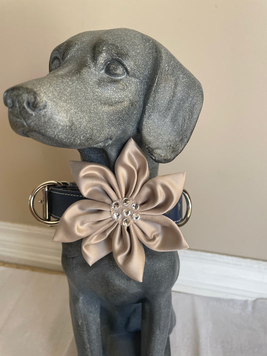 Champagne Satin Flower Dog Bow Tie, view 2