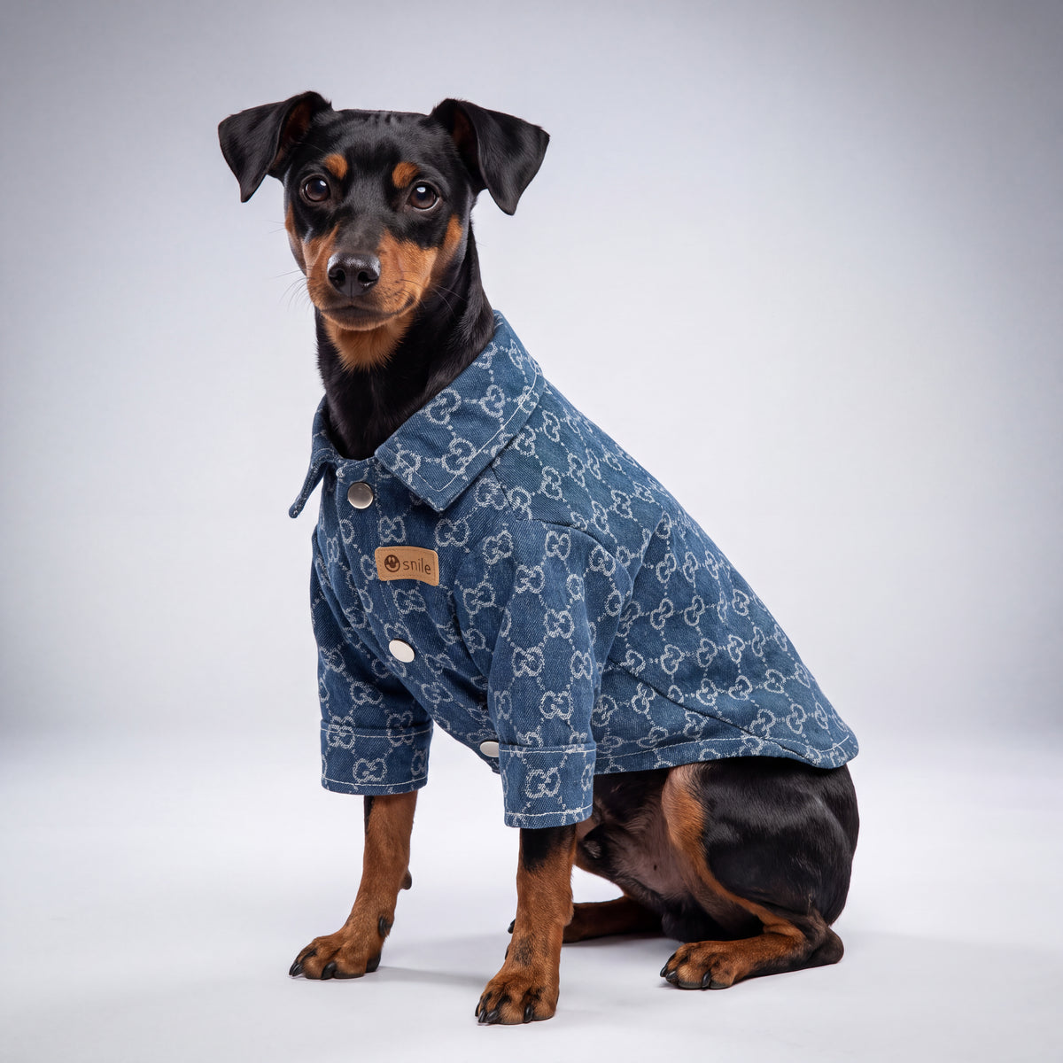 Blue Denim Dog Jacket by PetGlamr