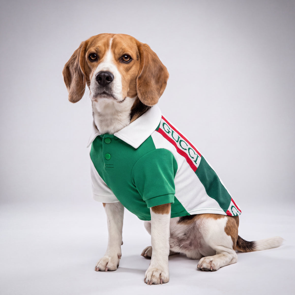 Green & White Dog Polo Shirt by PetGlamr