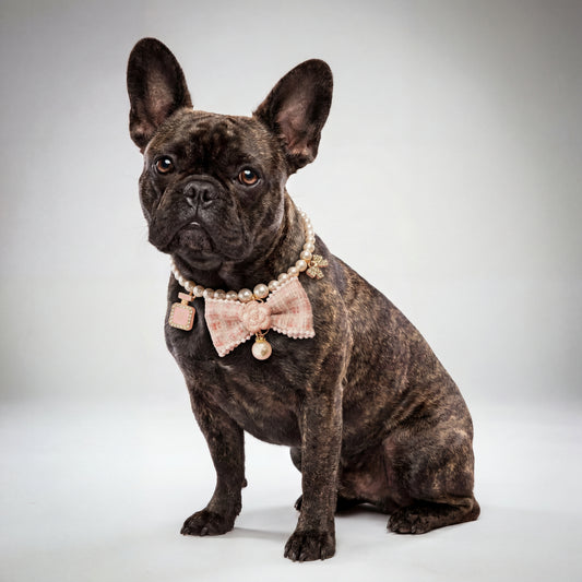 Pearl Bow Dog Necklace by PetGlamr
