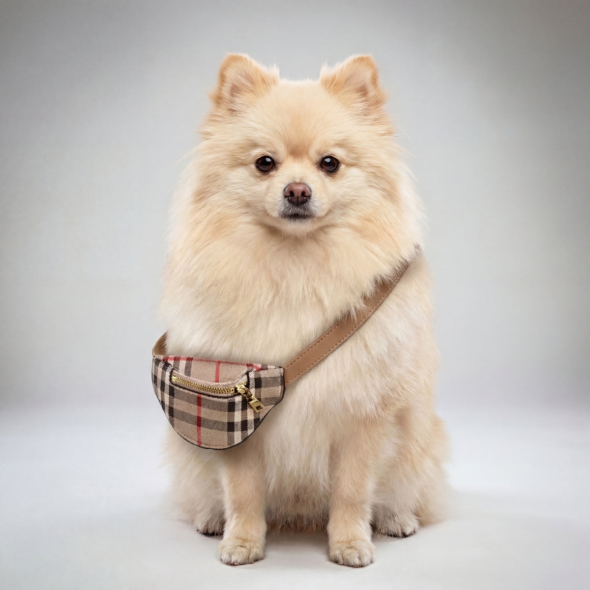 Printed Dog Fanny Pack by PetGlamr