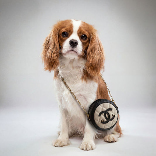 Quilted Chain Dog Crossbody Purse by PetGlamr