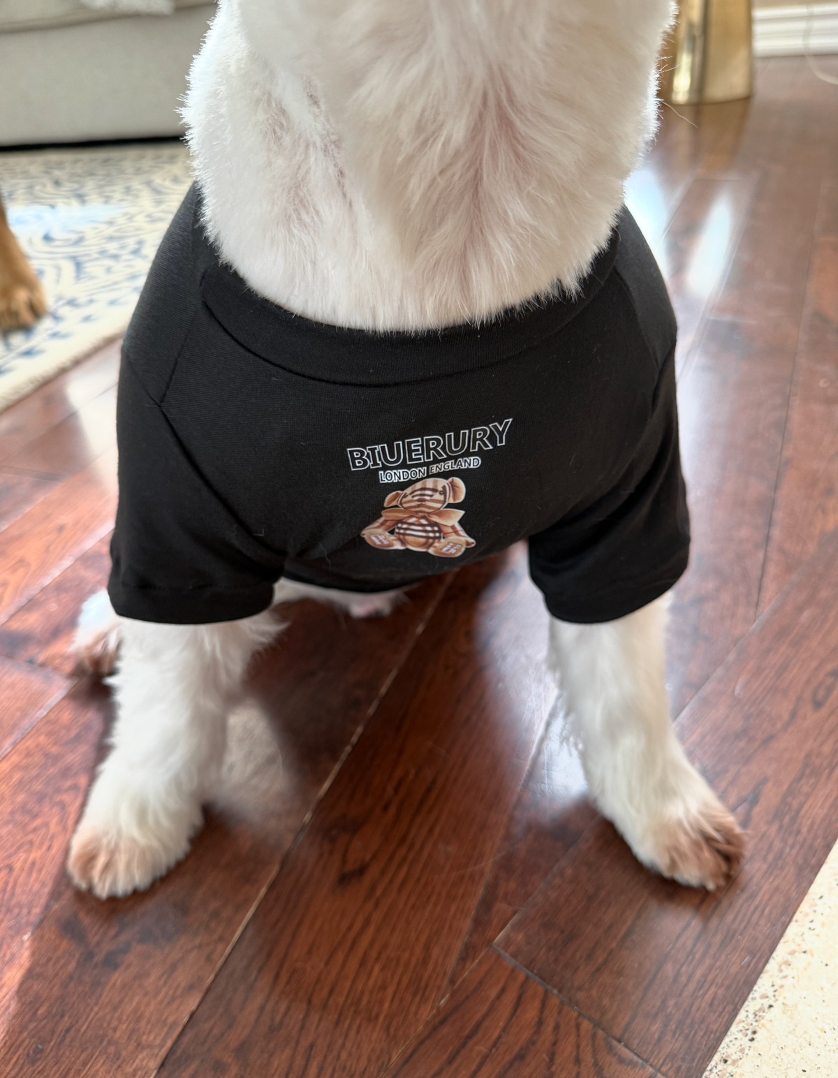 Teddy Bear Graphic Dog T-Shirt, view 3