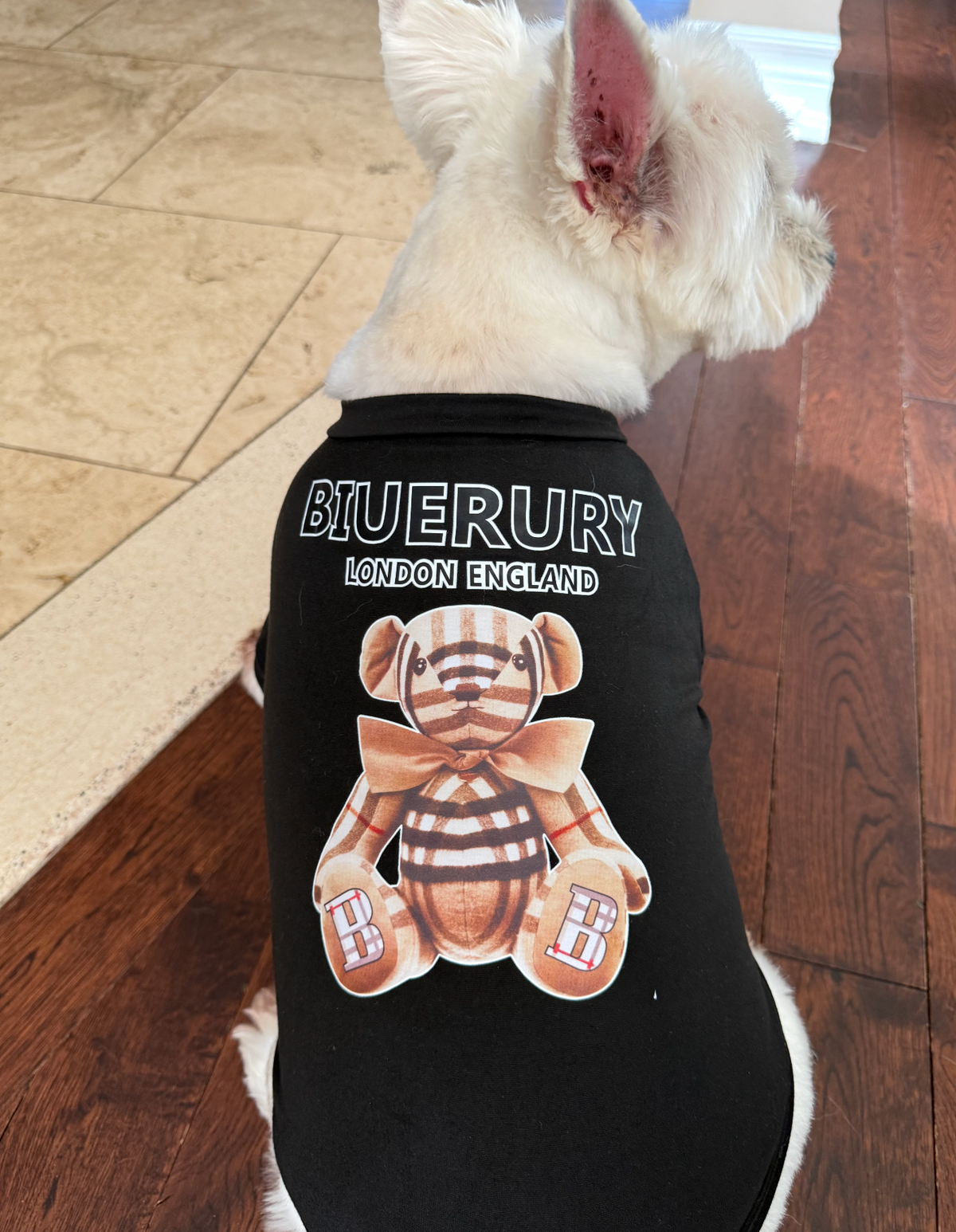 Teddy Bear Graphic Dog T-Shirt, view 4