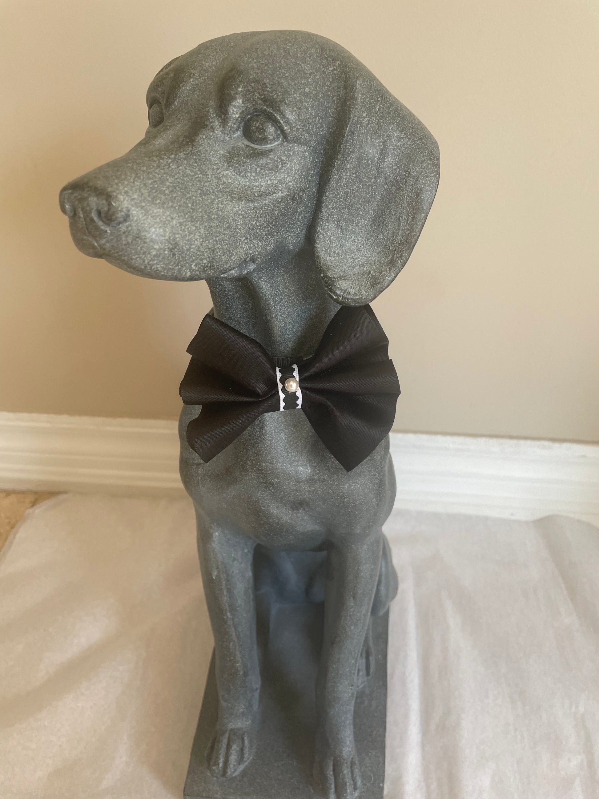 Black Pearl Dog Bow Tie, alternate view