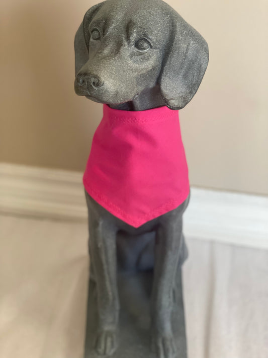 Fuchsia Personalized Dog Bandana, view 2
