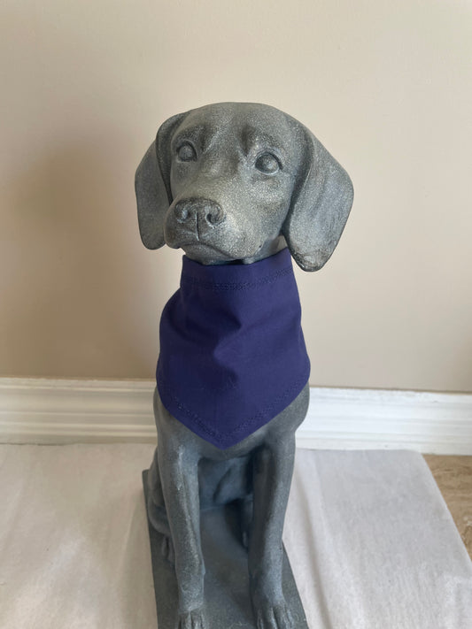 Royal Blue Personalized Dog Bandana, alternate view