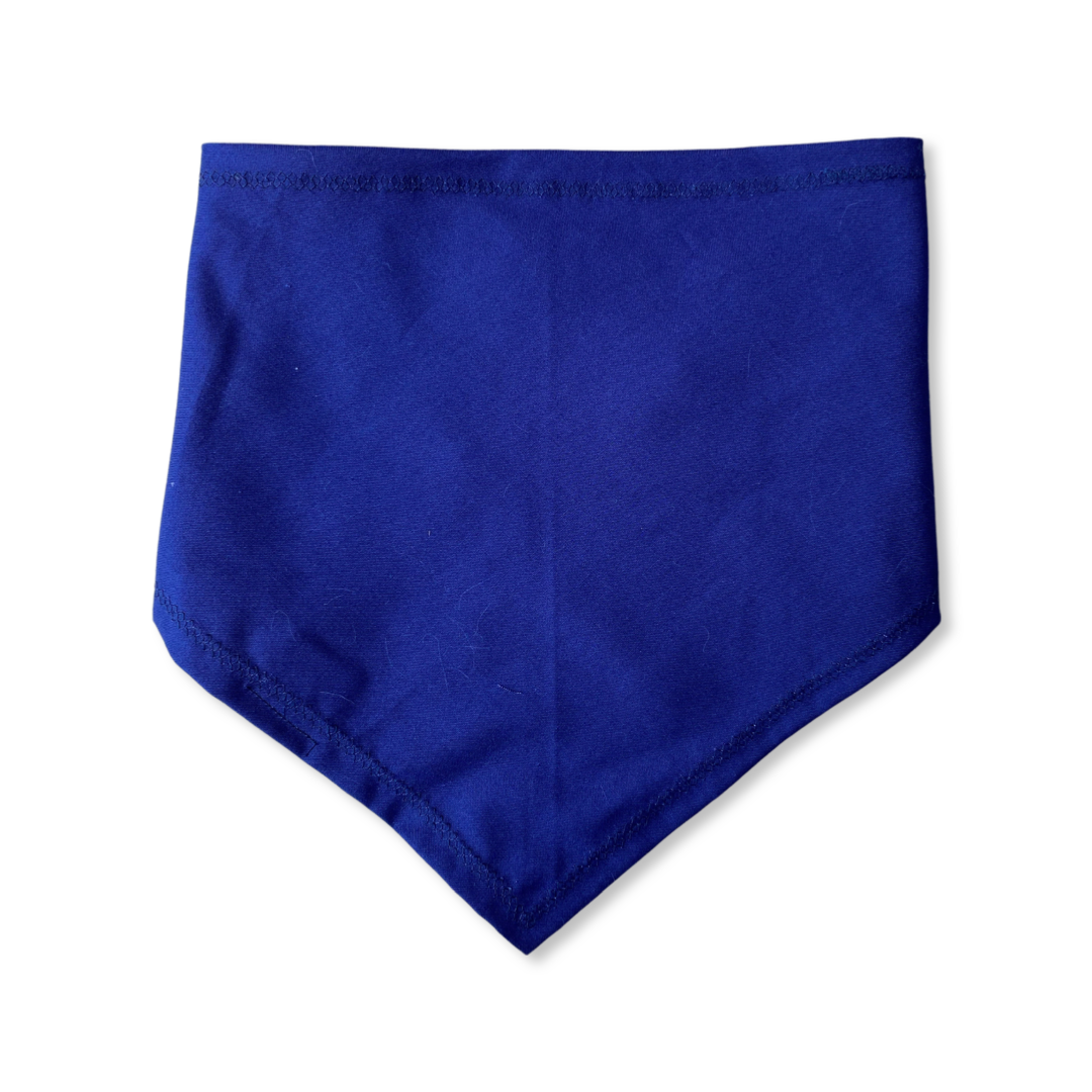 Royal Blue Personalized Dog Bandana by PetGlamr